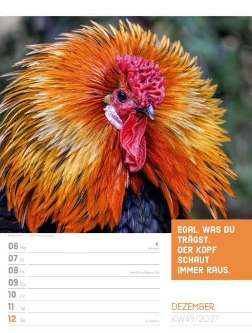 InsideView 53