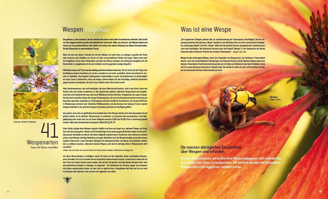 InsideView 17