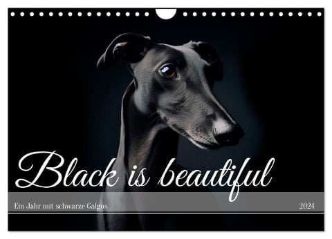 Black is beautiful (Wandkalender 2024 DIN A4 quer), CALVENDO Monatskalender - Andrea Redecker