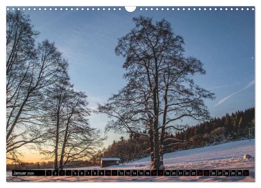 InsideView 6