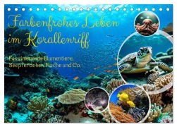 Cover-Bild zum Titel 'Farbenfrohes Leben im Korallenriff (Tischkalender 2026 DIN A5 quer), CALVENDO Monatskalender' von 'Claudia Kleemann'