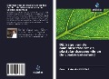 Cover-Bild zum Titel 'Bijdrage van de manioksector tot de plattelandseconomie en de voedselzekerheid' von 'Gérard Lotombe Bolema'