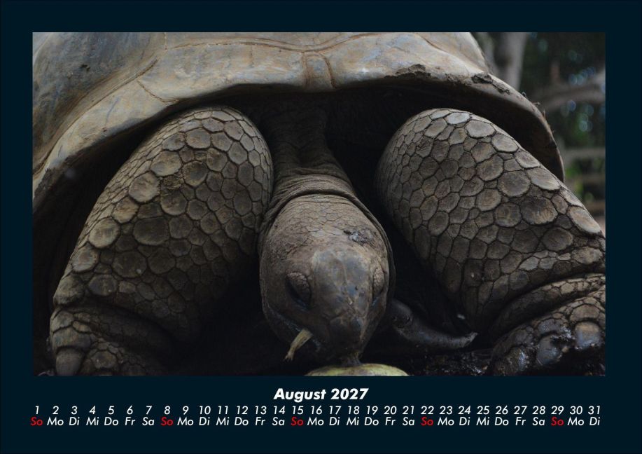 InsideView 12
