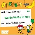 Cover-Bild zum Titel 'Weiße Wolke in Not' von 'Peter Tiefenbrunner'