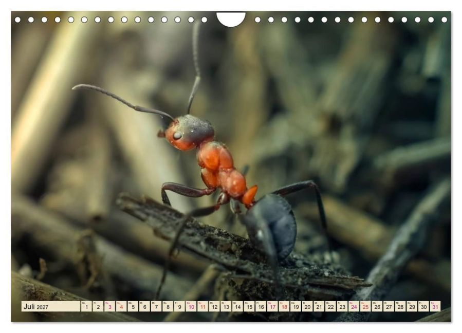 InsideView 12