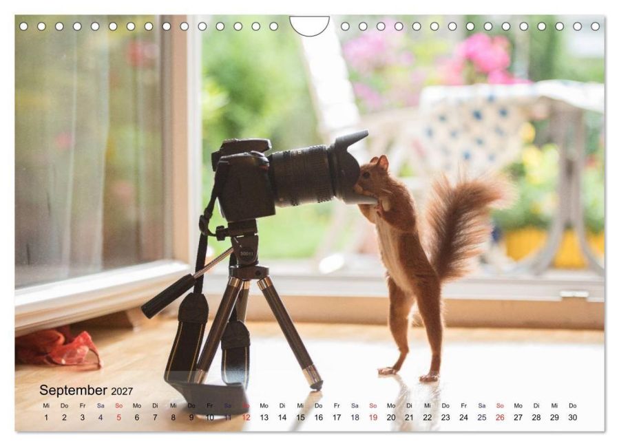InsideView 14