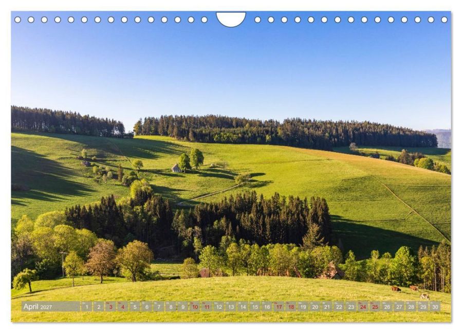 InsideView 9