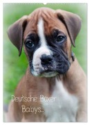 Cover-Bild zum Titel 'Deutsche Boxer Babys... (Wandkalender 2026 DIN A2 hoch), CALVENDO Monatskalender' von 'Nicole Schwalm Böttcher'