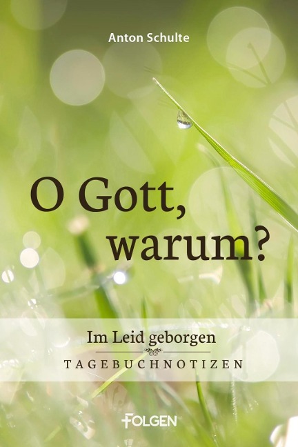 O Gott, warum? - Anton Schulte