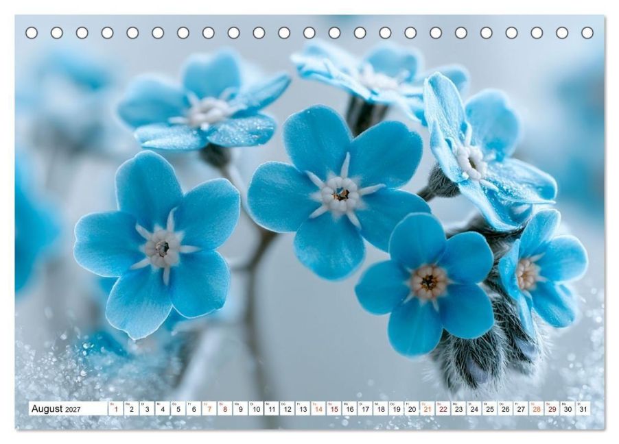 InsideView 13