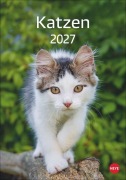 Cover-Bild zum Titel 'Katzen Kalender 2027' von ''