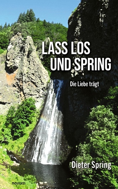 Lass los und spring - Dieter Spring