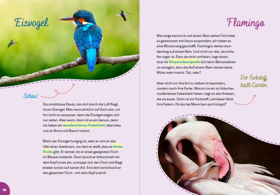 InsideView 2