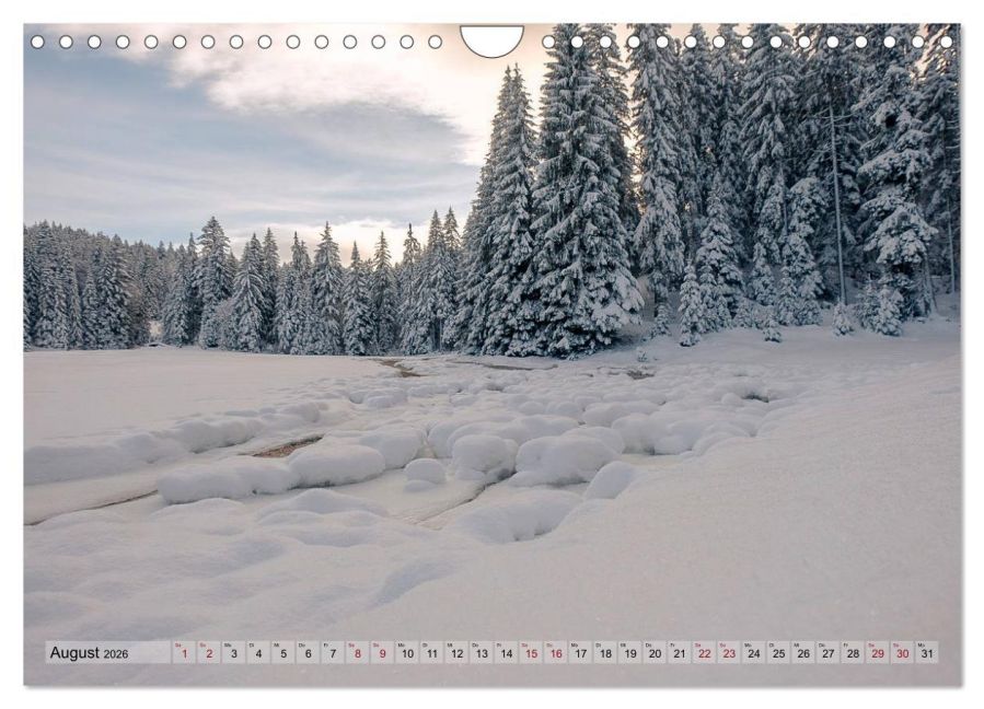InsideView 13