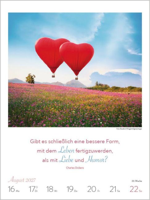 InsideView 11