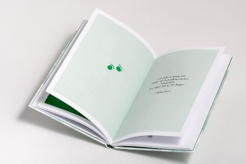 InsideView 2