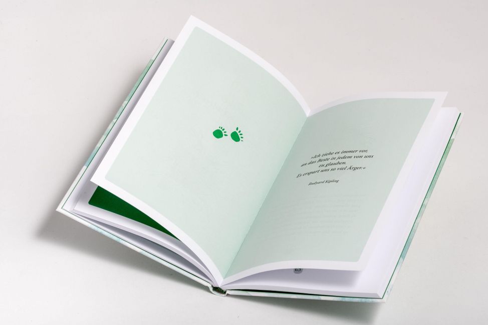 InsideView 2