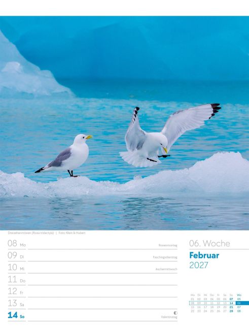 InsideView 10
