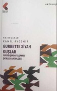 Cover-Bild zum Titel 'Gurbette Siyah Kuslar' von 'Kamil Aydemir'