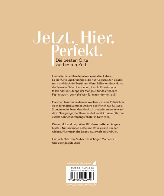 InsideView 12