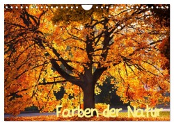 Cover-Bild zum Titel 'Farben der Natur (Wandkalender 2026 DIN A4 quer), CALVENDO Monatskalender' von 'Holger Gräbner'