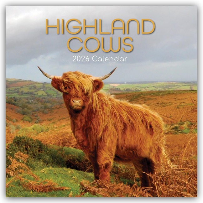 Highland Cows - Hochland-Kühe - Hochlandrinder 2026 - 16-Monatskalender - Gifted Stationery Co. Ltd