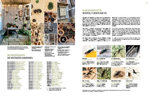 InsideView 11
