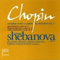 Werke Für Klavier Und Orchester Vol.1 - Shebanova/Wojciechowski/Polish Sinfonia