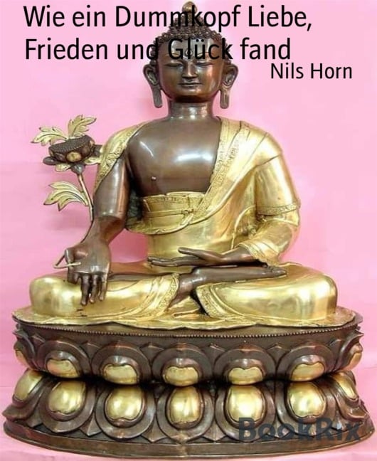 Wie ein Dummkopf Liebe, Frieden und Glück fand - Nils Horn