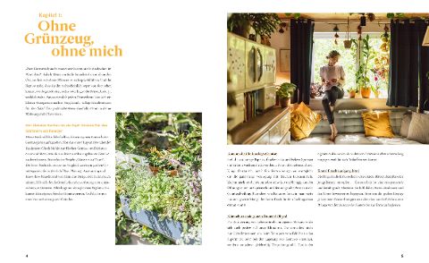 InsideView 2