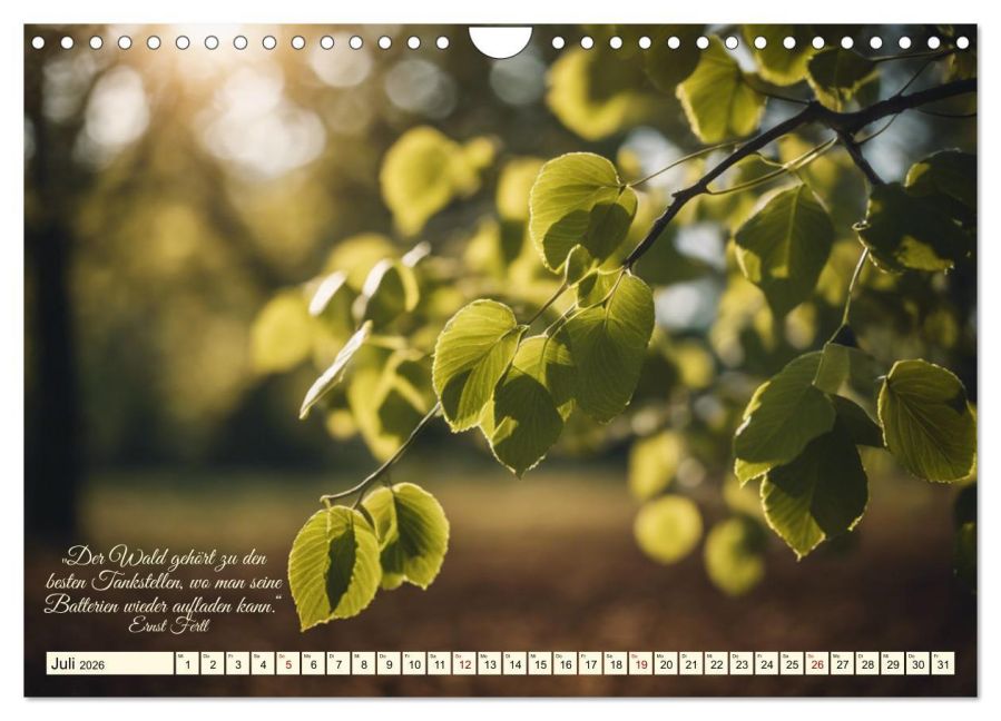 InsideView 12