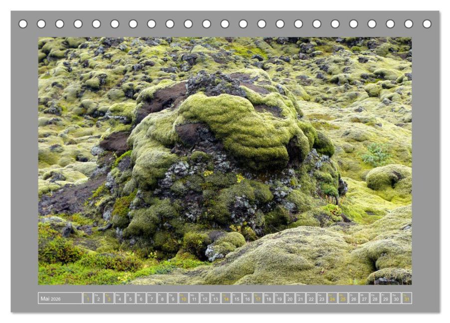 InsideView 10
