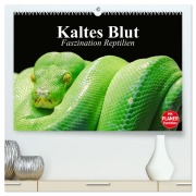 Cover-Bild zum Titel 'Kaltes Blut. Faszination Reptilien (hochwertiger Premium Wandkalender 2026 DIN A2 quer), Kunstdruck in Hochglanz' von 'Elisabeth Stanzer'