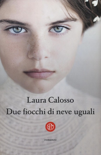 Due fiocchi di neve uguali - Laura Calosso
