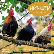 Hühner 2026 - 