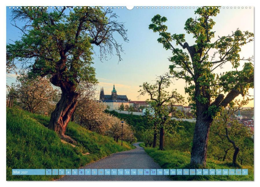 InsideView 10