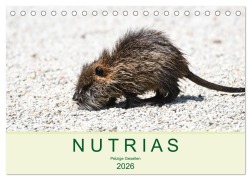 Cover-Bild zum Titel 'NUTRIAS - Pelzige Gesellen (Tischkalender 2026 DIN A5 quer), CALVENDO Monatskalender' von 'Robert Styppa'