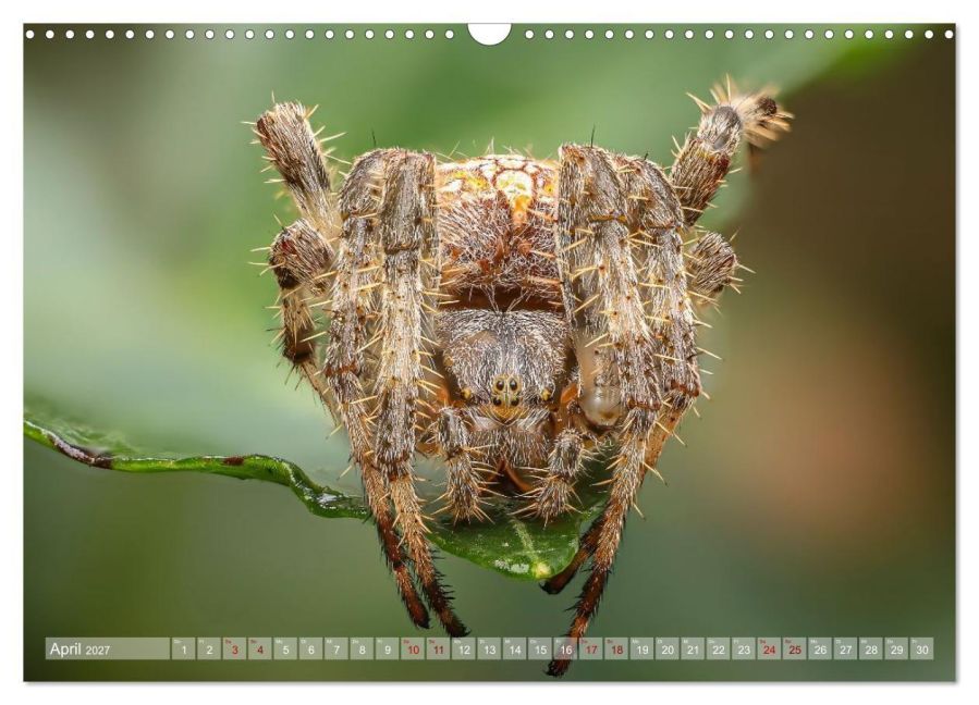 InsideView 9
