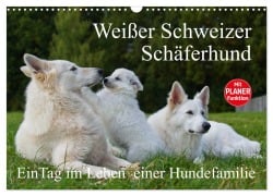 Weißer Schweizer Schäferhund - Ein Tag im Leben einer Hundefamilie (Wandkalender 2025 DIN A3 quer), CALVENDO Monatskalender - Sigrid Starick