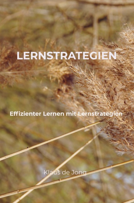 Lernstrategien - Klaus de Jong