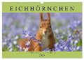 Eichhörnchen im Königlichen Garten (Wandkalender 2025 DIN A3 quer), CALVENDO Monatskalender - Margret Brackhan