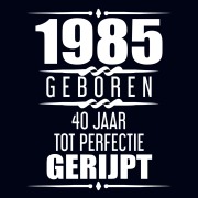 Cover-Bild zum Titel '1985 Geboren 40 Jaar Tot Perfectie Gerijpt' von 'Albaspirit Gastenboeken'