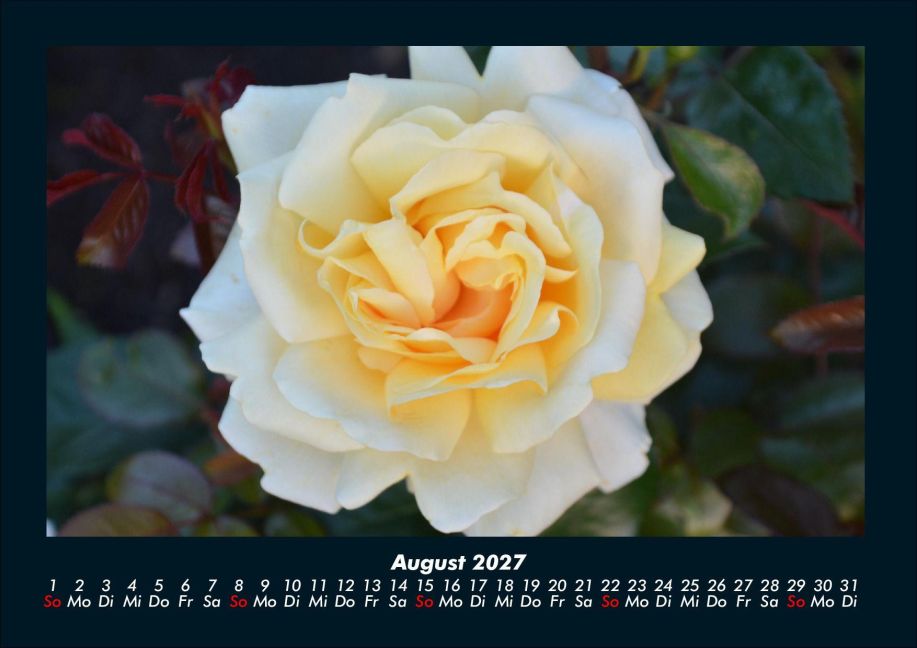 InsideView 12