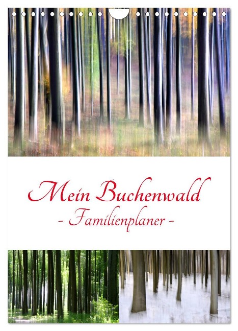 Mein Buchenwald - Familienplaner (Wandkalender 2025 DIN A4 hoch), CALVENDO Monatskalender - Klaus Eppele