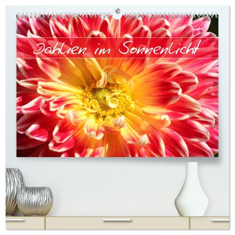 Dahlien im Sonnenlicht (hochwertiger Premium Wandkalender 2025 DIN A2 quer), Kunstdruck in Hochglanz - Gisela Kruse