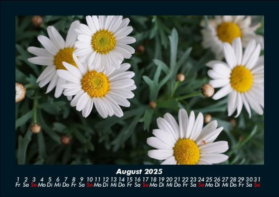 InsideView 12