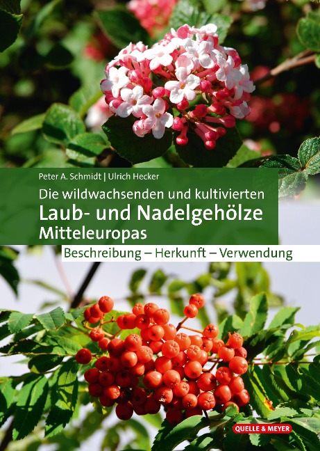 Die wildwachsenden und kultivierten Laub- und Nadelgehölze Mitteleuropas - Peter A. Schmidt, Ulrich Hecker