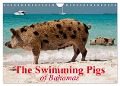 The Swimming Pigs of Bahamas (Wall Calendar 2025 DIN A4 landscape), CALVENDO 12 Month Wall Calendar - Elisabeth Stanzer