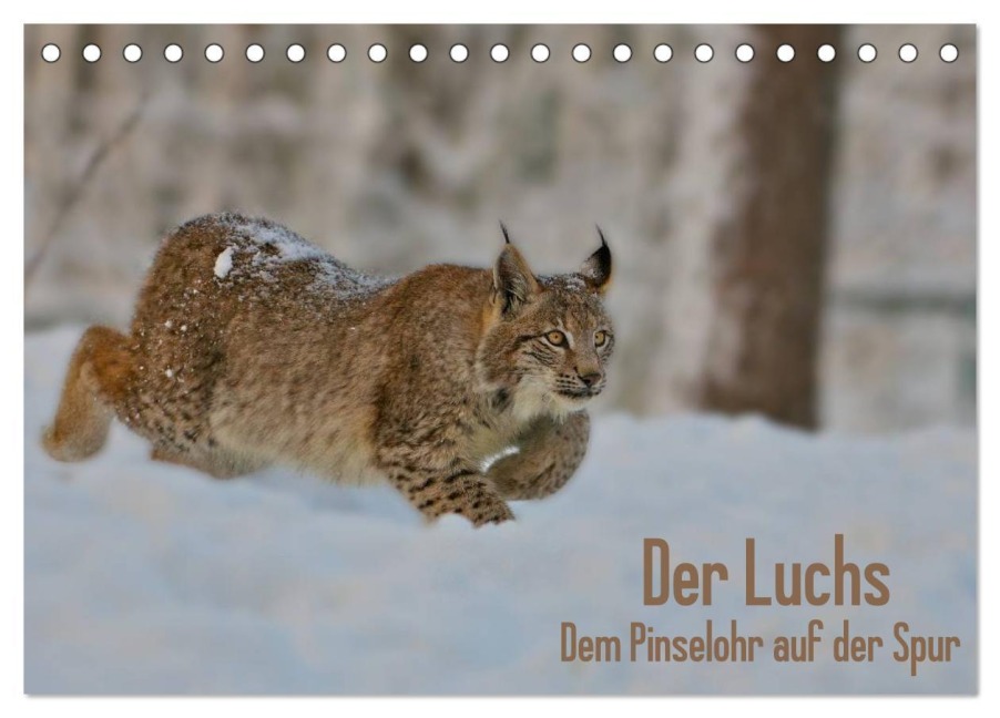 Der Luchs - Dem Pinselohr auf der Spur (Tischkalender 2026 DIN A5 quer), CALVENDO Monatskalender - Stefan Rosengarten