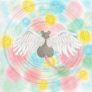 Cover-Bild zum Titel 'Animaru' von 'Mei Semones'